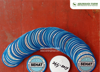 Harga Kambing dan Domba Kiloan Juni 2020